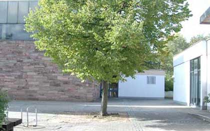 Zufallsbild